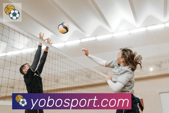 YOBO体育APP 封面图